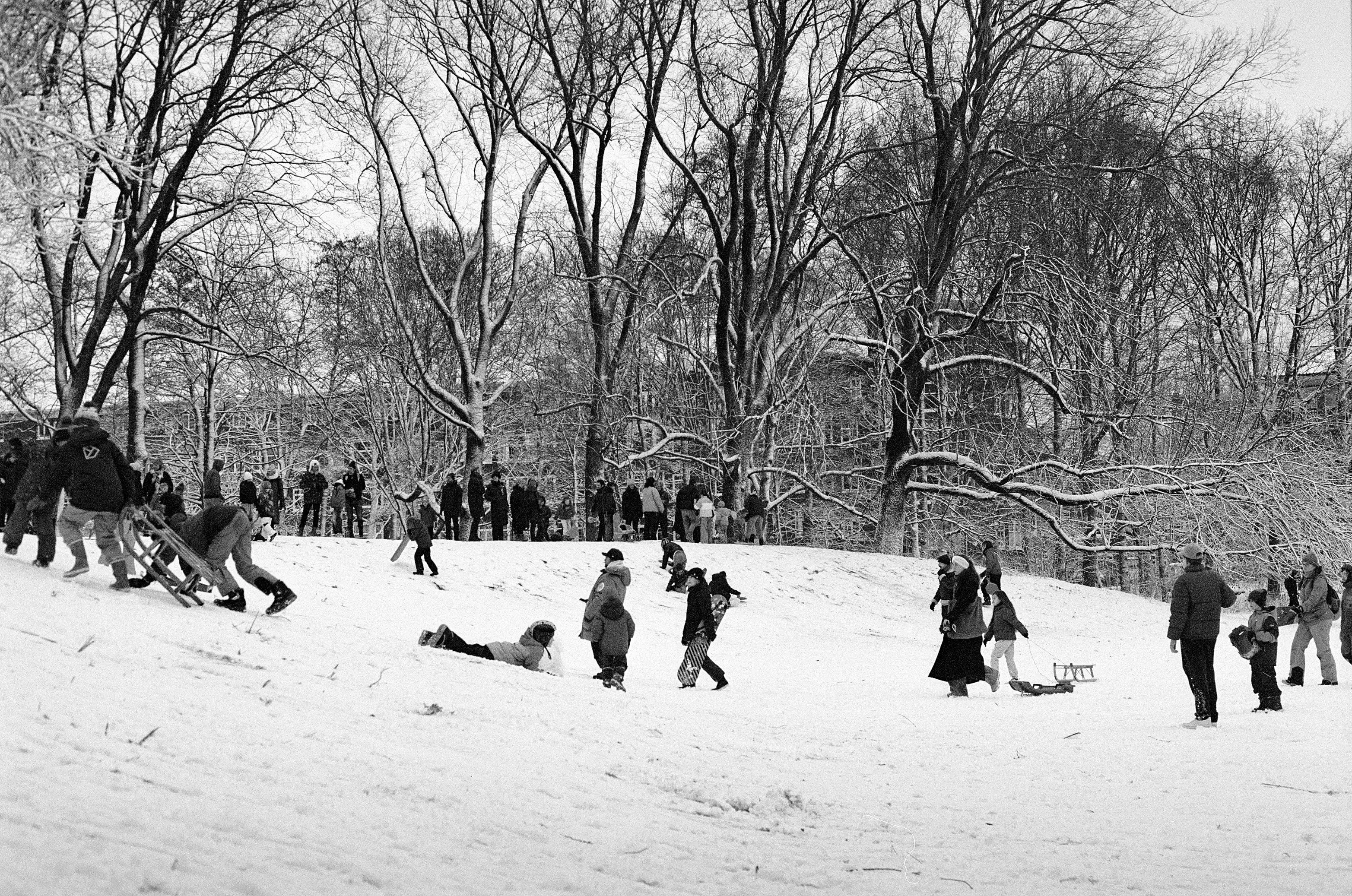 Image from Short Winter album