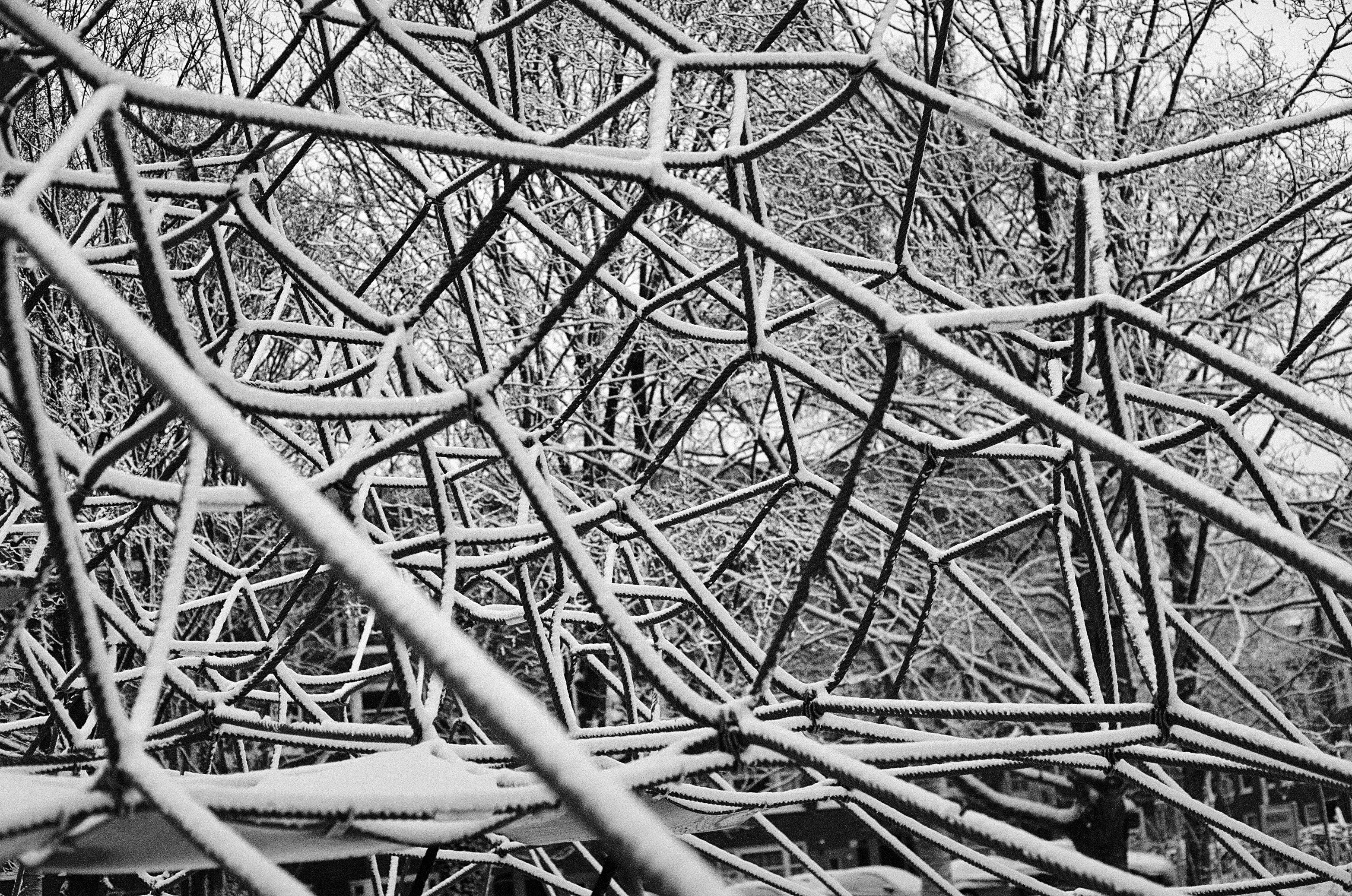 Image from Short Winter album