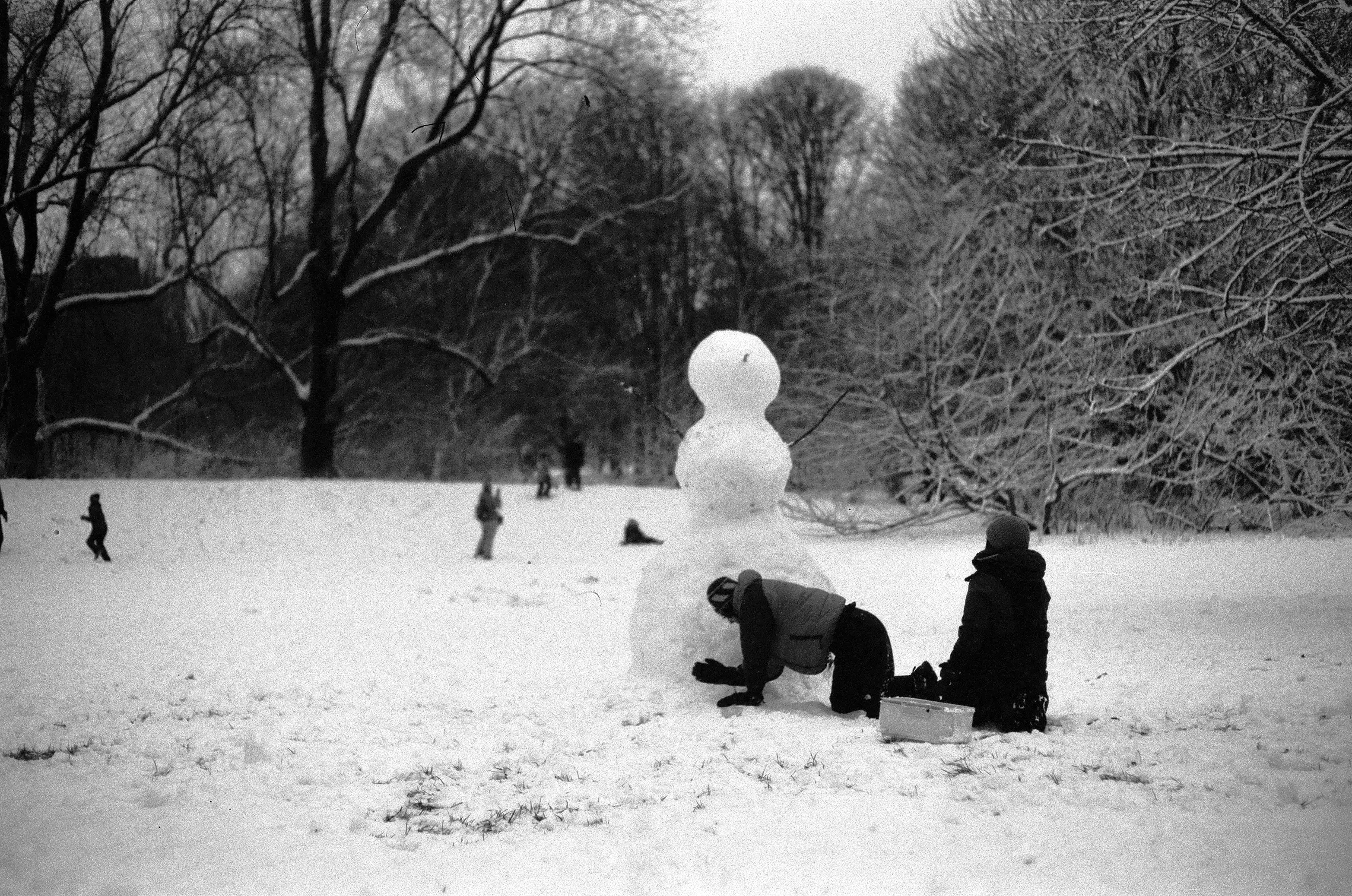 Image from Short Winter album
