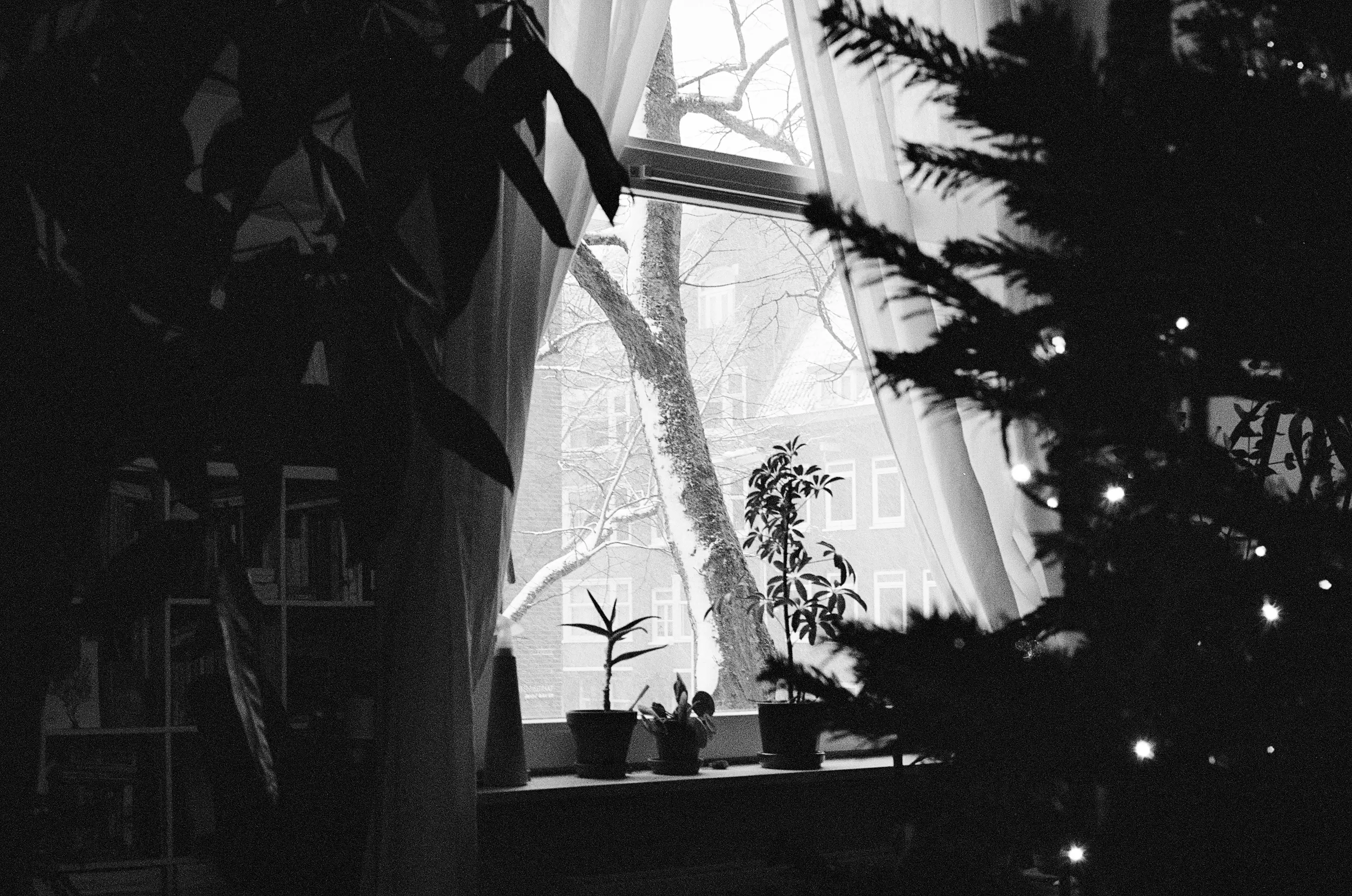 Image from Short Winter album